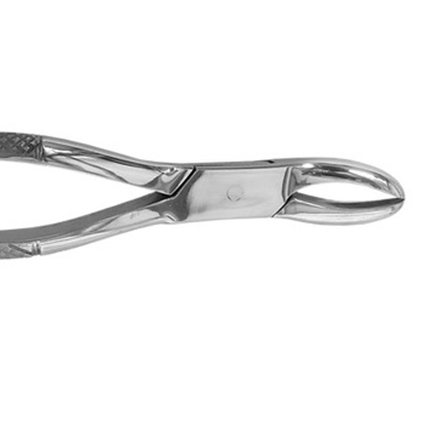#J505 Wolf Tooth Forceps