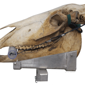 #J90 Dental Mouth Gag