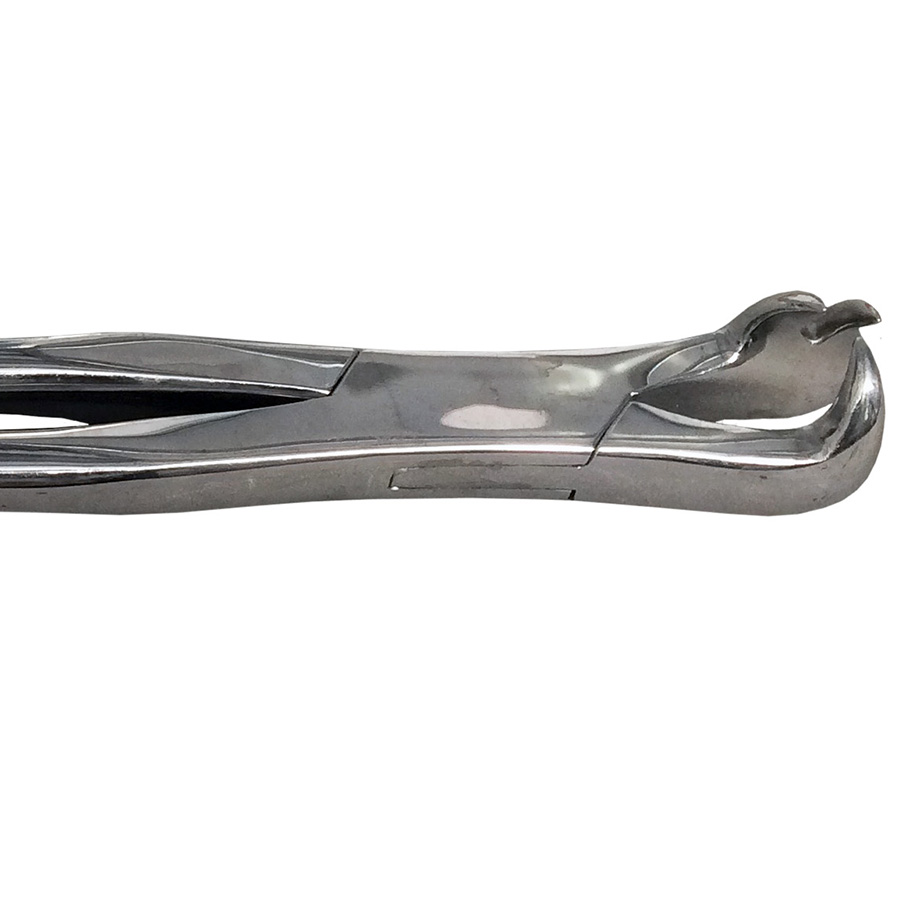 #J475 3 Prong Molar Forceps