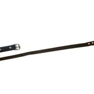 Bio Thane Speculum Strap Sets For EZ & Mini EZ Spec