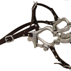 #J20 EQ Pony Speculum
