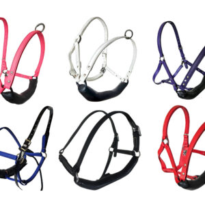 #J120 Dental Halter