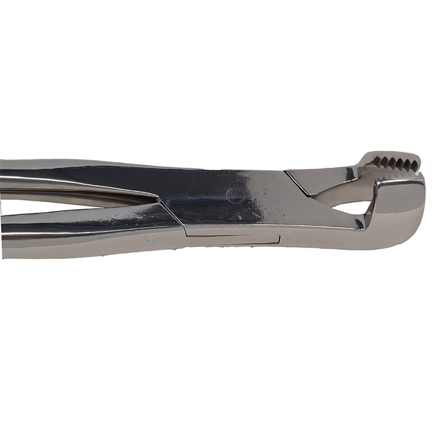 #J480 Box Jaw Molar Forceps