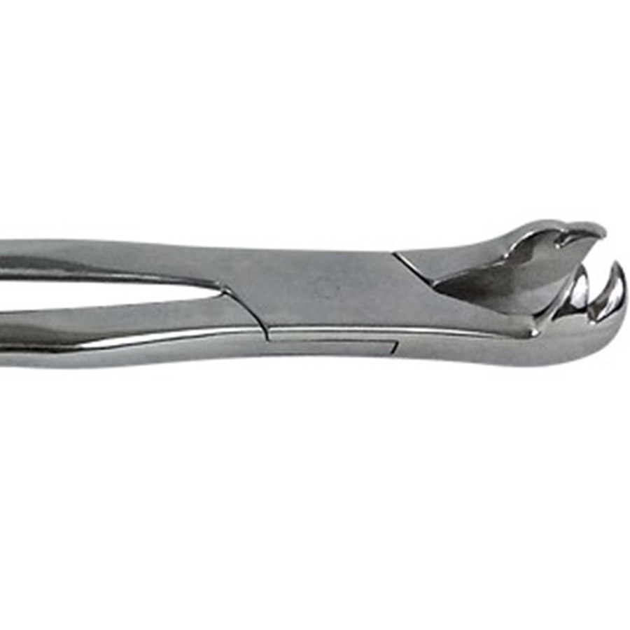 #J465 4 Prong Molar Forceps