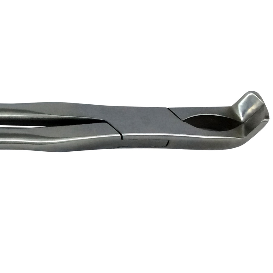 #J490 Molar Spreaders