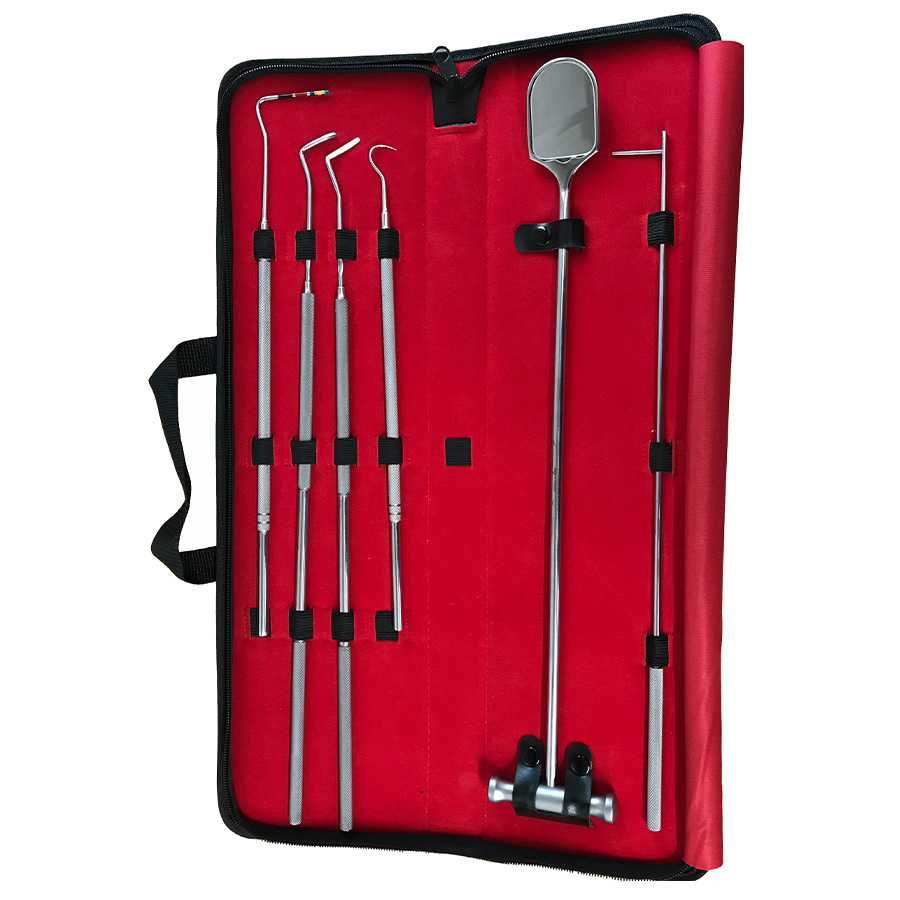 #J615 Dental Exam Kit