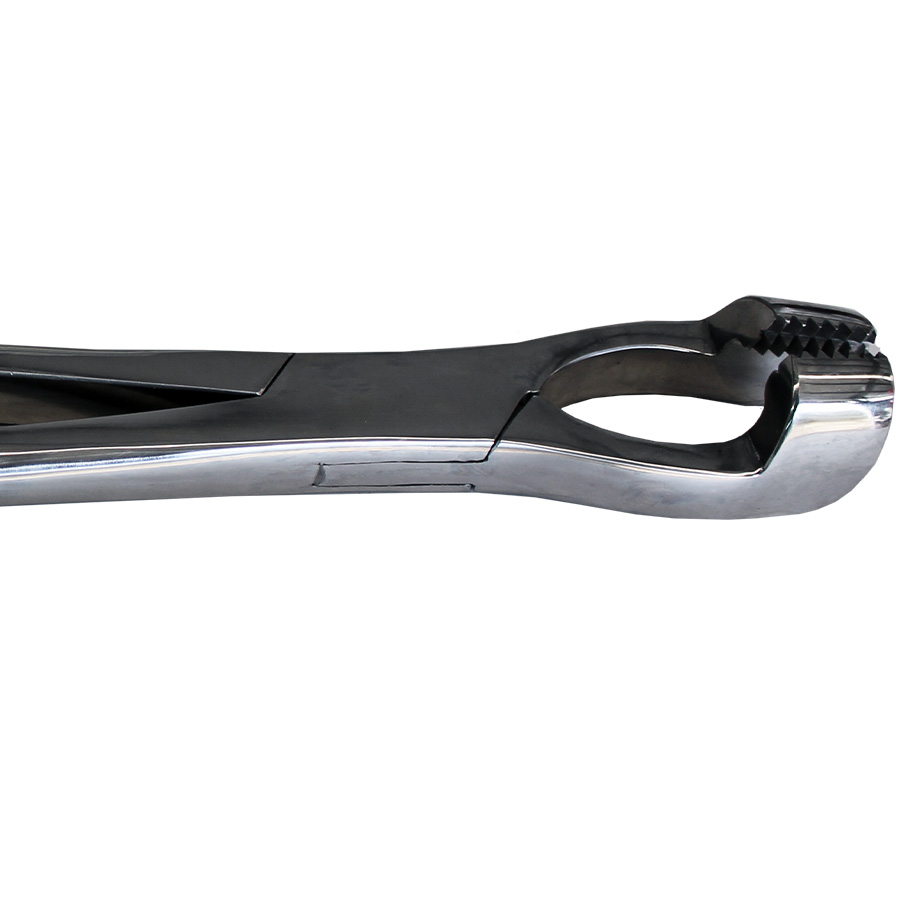 #J500 Hewson Style Forceps 16″